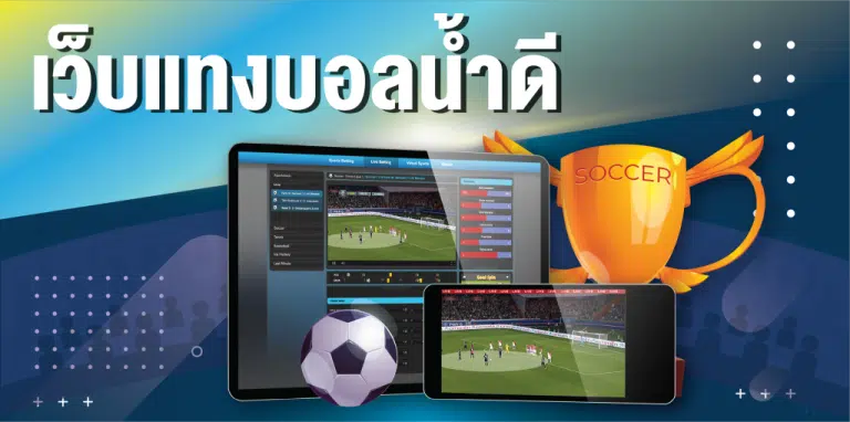 เล่นแทงบอลเว็บตรง